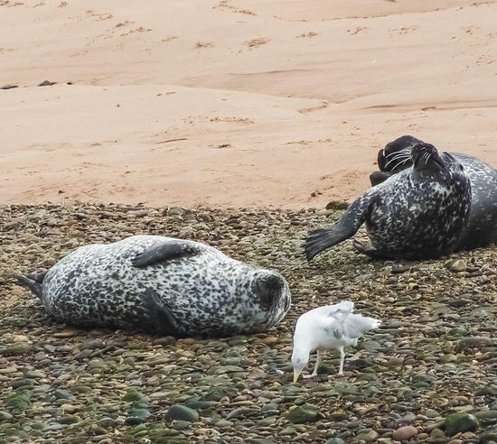 51075902267_ba4c5905c2_c